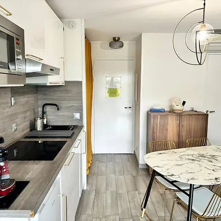 Apartment 4 Pers , 100m De La Marina Baie Des Anges French Riviera Villeneuve-Loubet